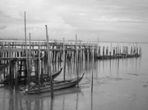 lukisan hidupan laut hitam putih