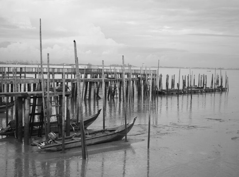 lukisan hidupan laut hitam putih